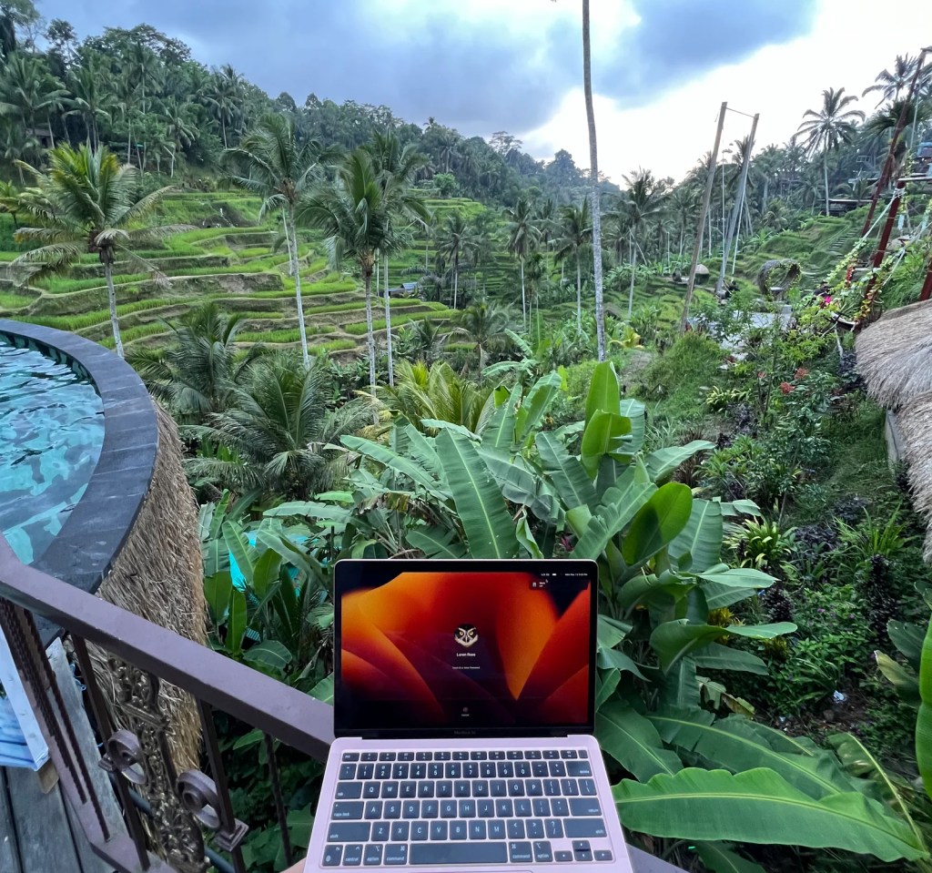 Working Digital Nomad