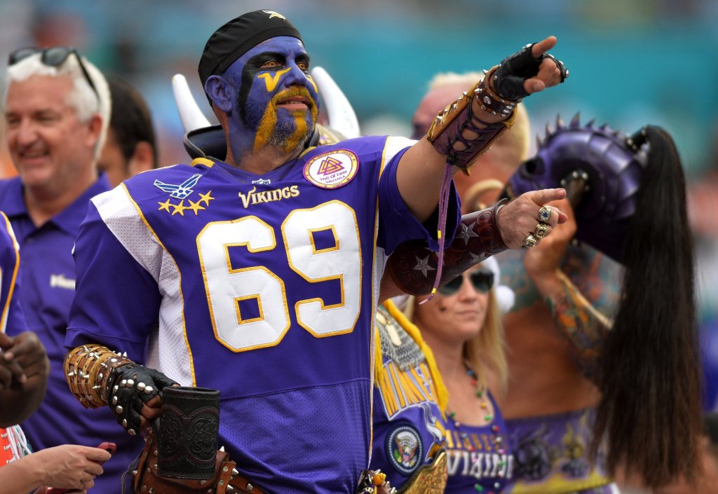 hardcore football fanatic